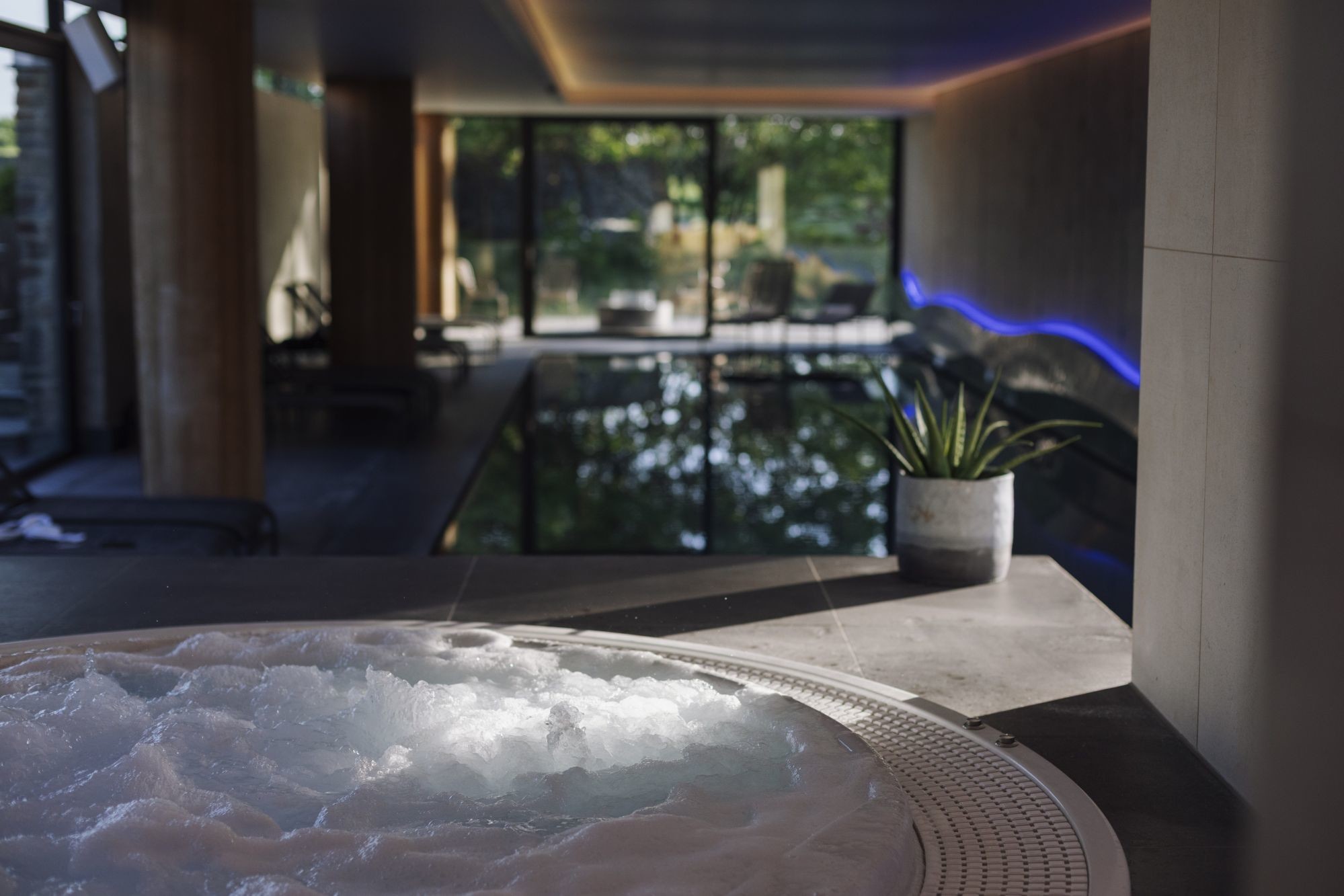 wellness